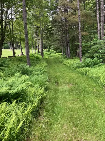 0 Hall Road Wilmington VT 05363