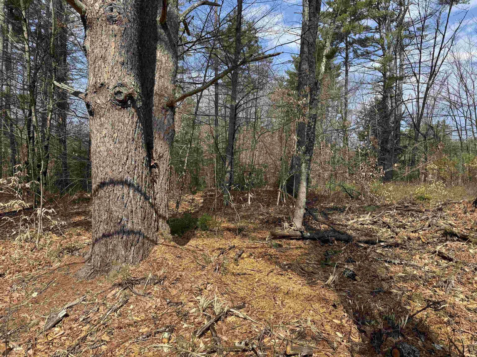 0 Green Mountain Road Effingham NH 03882