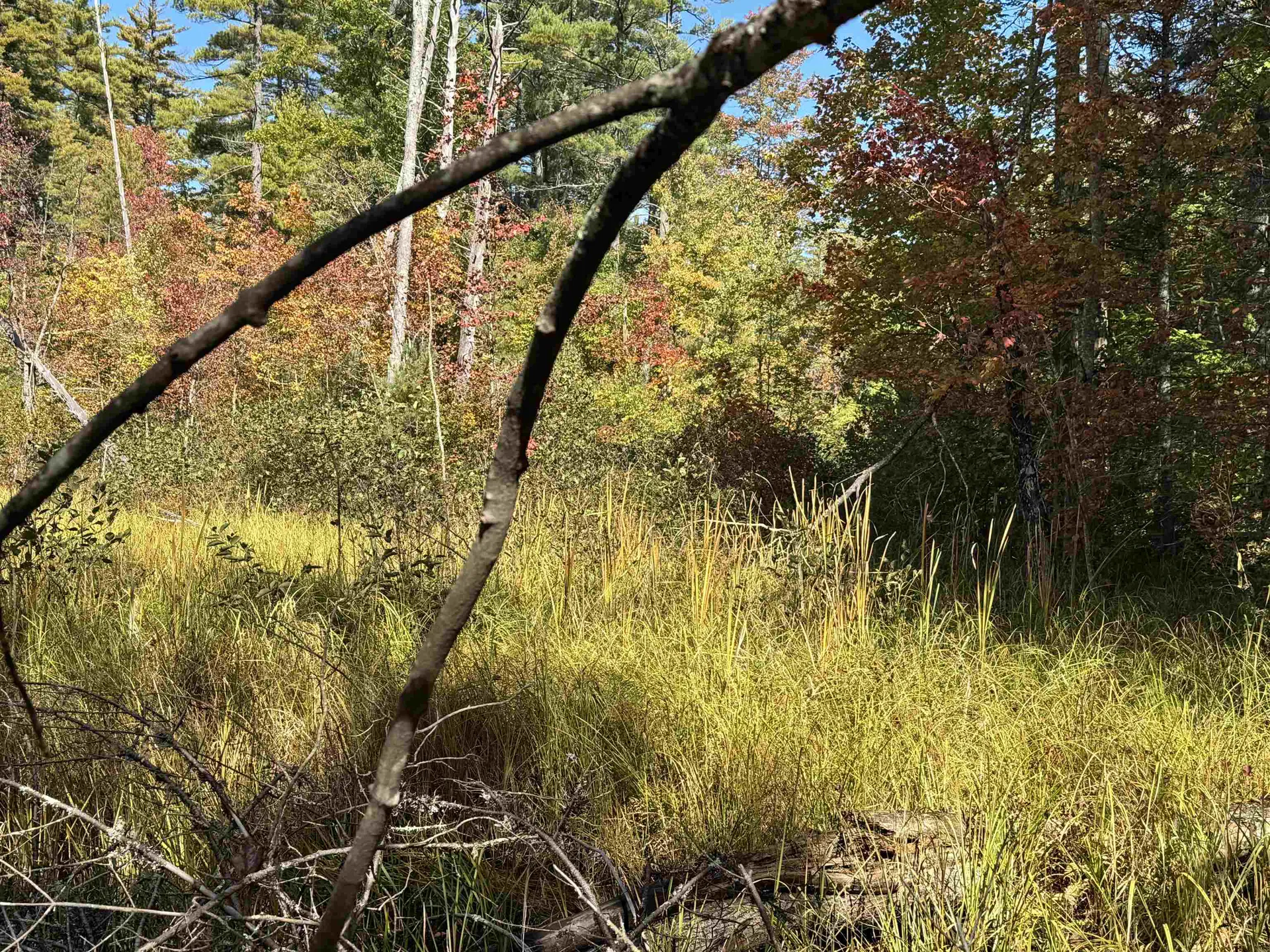 0 Green Mountain Road Effingham NH 03882