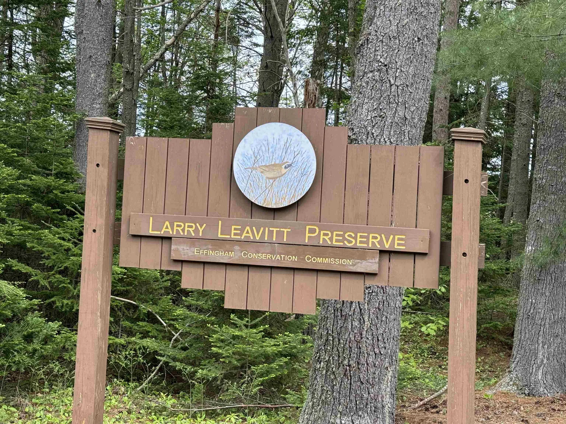 0 Green Mountain Road Effingham NH 03882