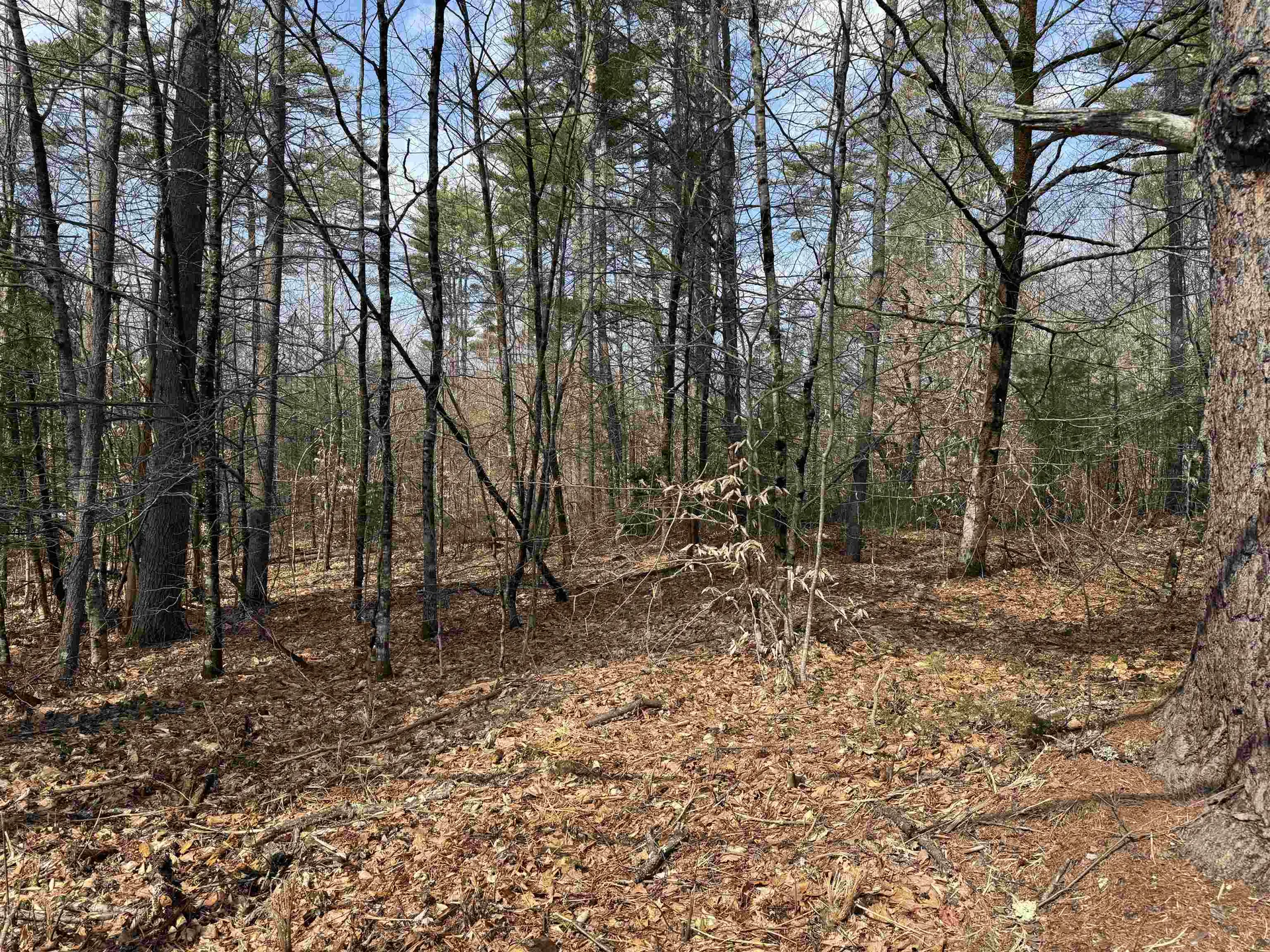 0 Green Mountain Road Effingham NH 03882