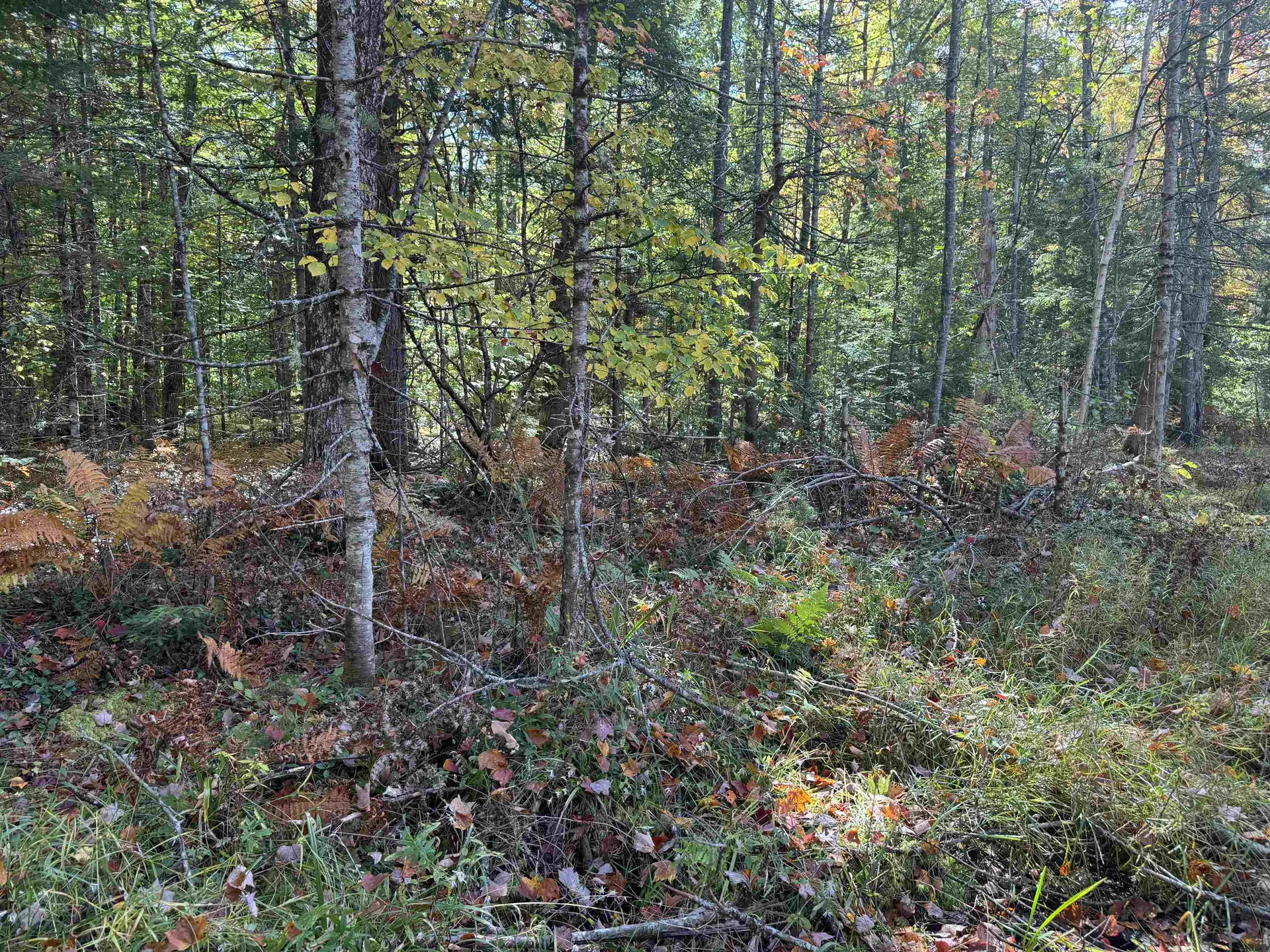 0 Green Mountain Road Effingham NH 03882