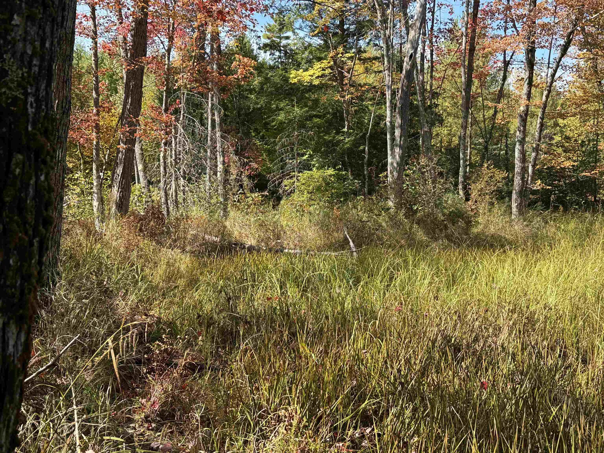 0 Green Mountain Road Effingham NH 03882