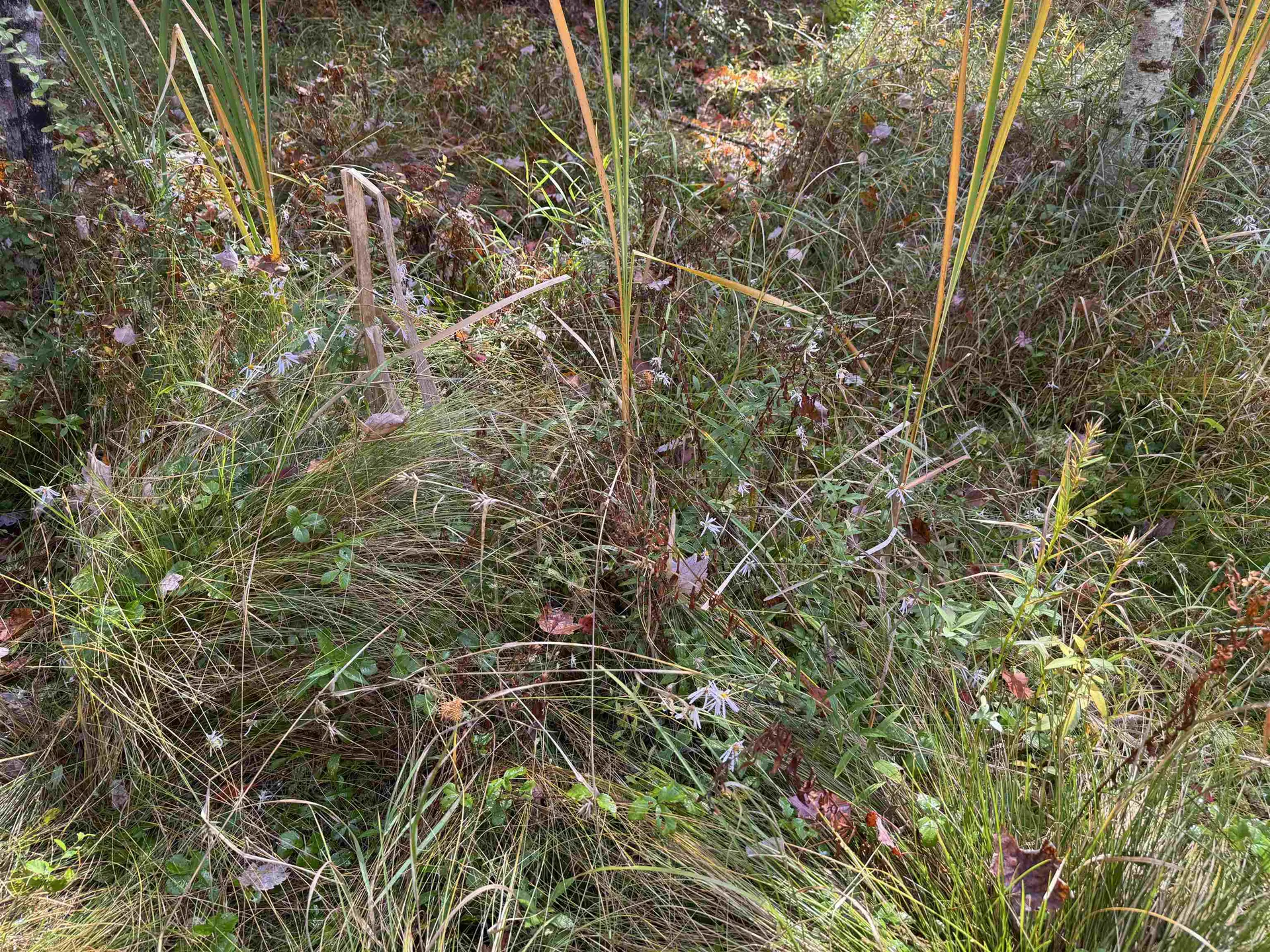 0 Green Mountain Road Effingham NH 03882