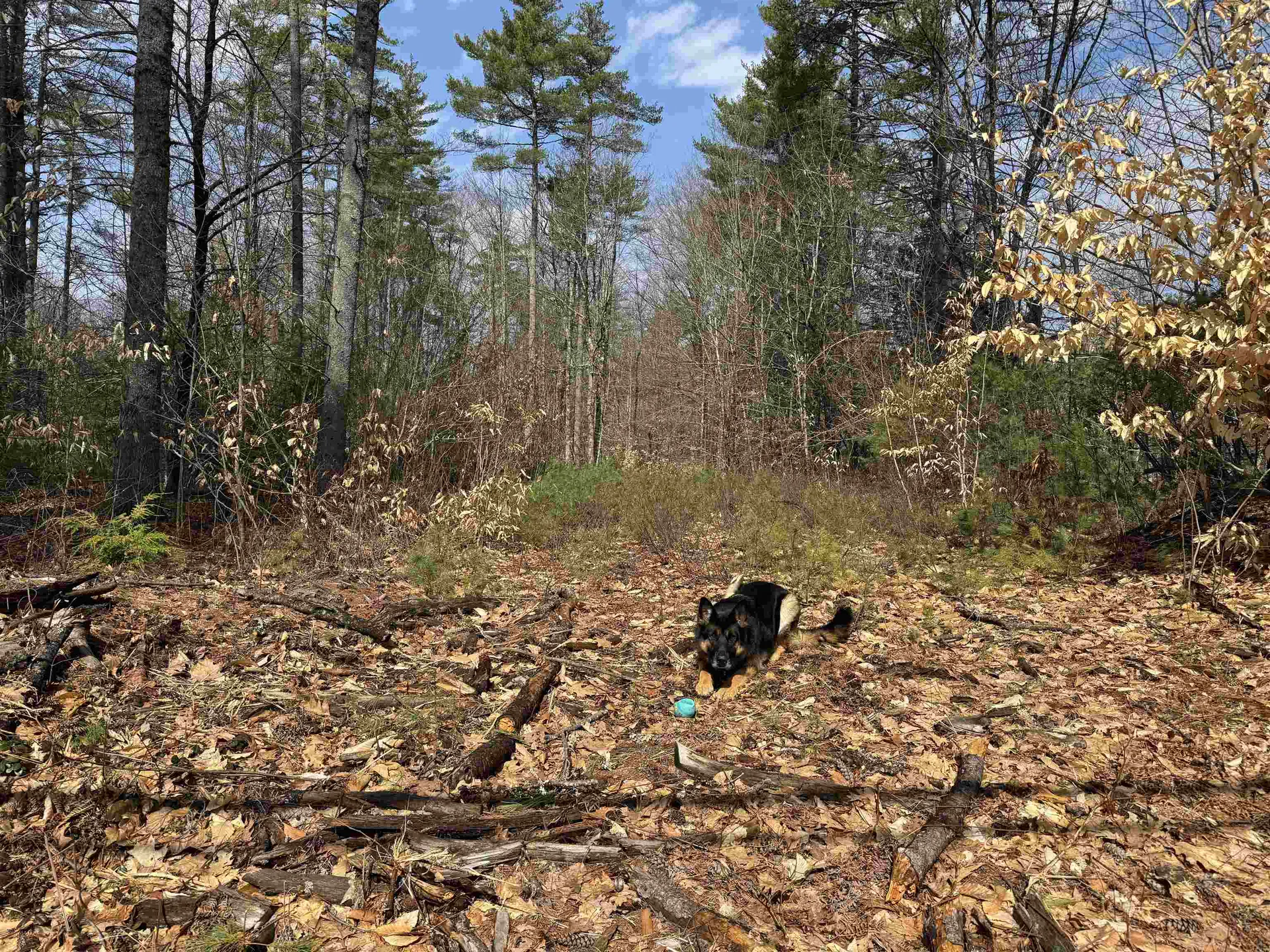 0 Green Mountain Road Effingham NH 03882