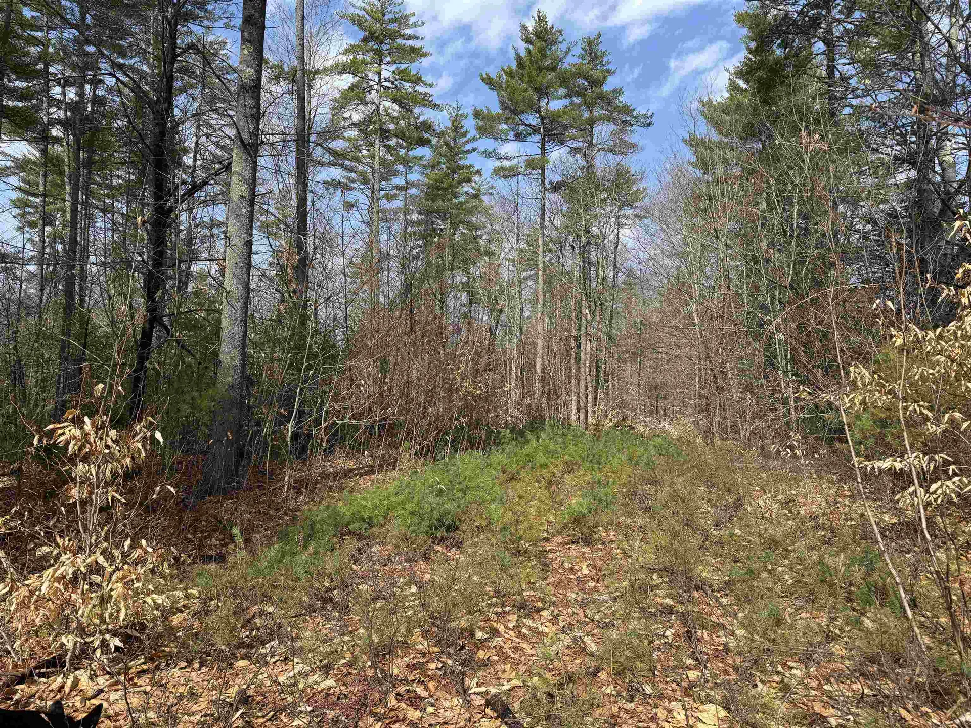 0 Green Mountain Road Effingham NH 03882