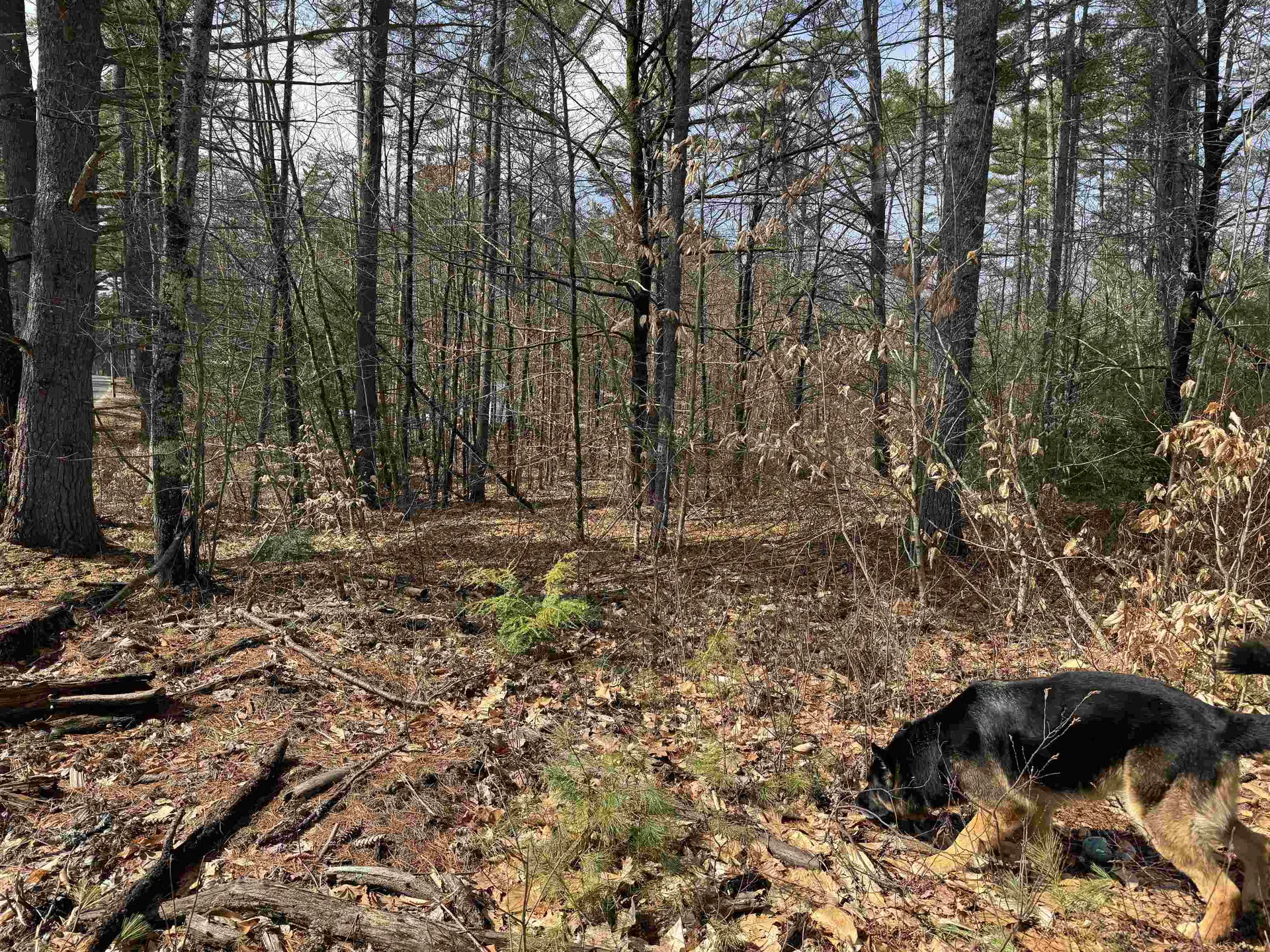 0 Green Mountain Road Effingham NH 03882