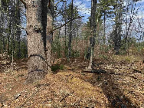 0 Green Mountain Road Effingham NH 03882