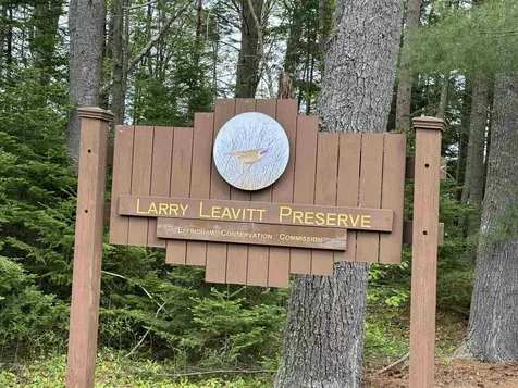 0 Green Mountain Road Effingham NH 03882