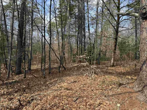 0 Green Mountain Road Effingham NH 03882