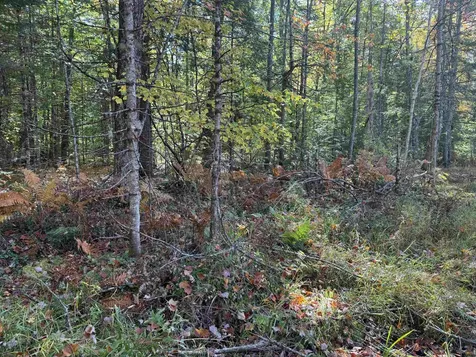 0 Green Mountain Road Effingham NH 03882