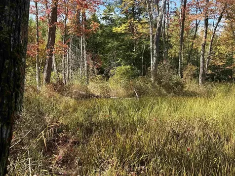 0 Green Mountain Road Effingham NH 03882