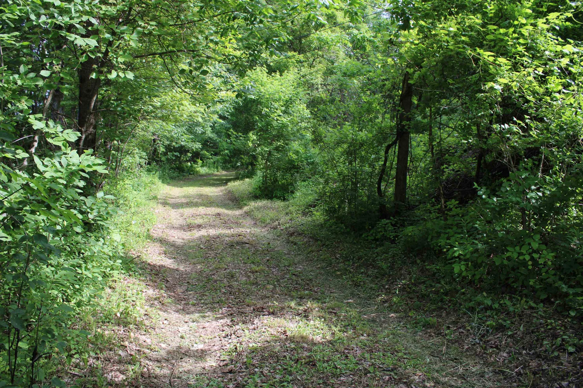 3131 Old Otis Road Danby VT 05739