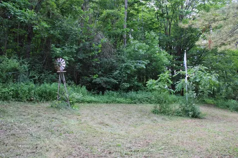 3131 Old Otis Road Danby VT 05739