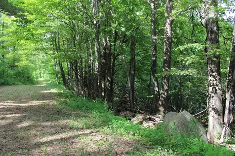 3131 Old Otis Road Danby VT 05739