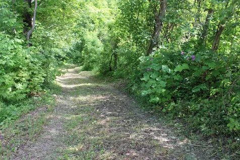 3131 Old Otis Road Danby VT 05739