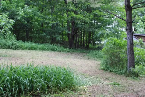 3131 Old Otis Road Danby VT 05739