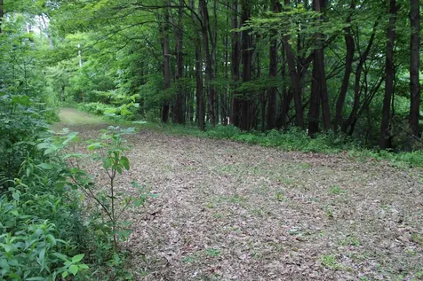 3131 Old Otis Road Danby VT 05739