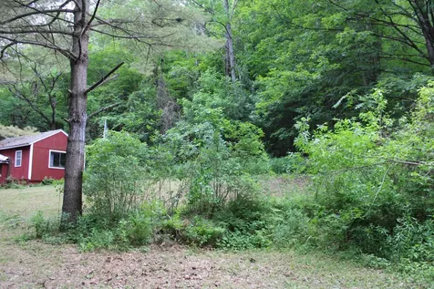 3131 Old Otis Road Danby VT 05739