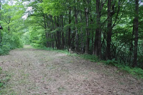3131 Old Otis Road Danby VT 05739