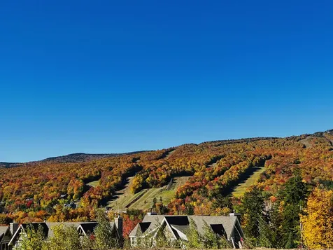 36 A Boulder Ridge Drive Dover VT 05356