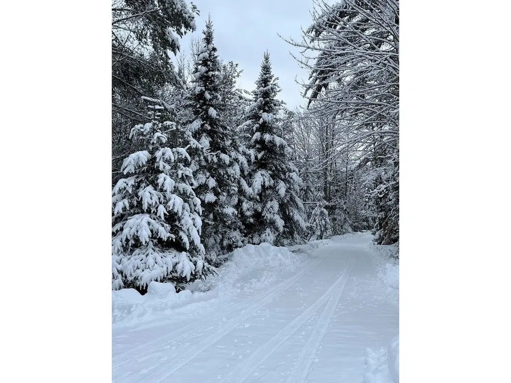 1212 Seyon Pond Road Groton VT 05046