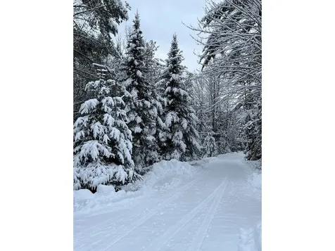 1212 Seyon Pond Road Groton VT 05046