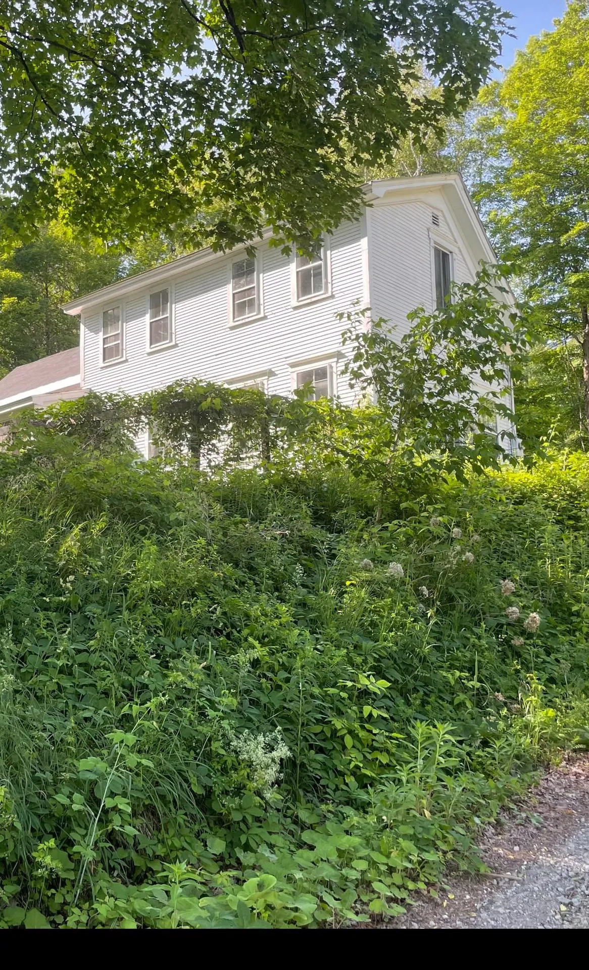 91 Robert Lane Plainfield VT 05667