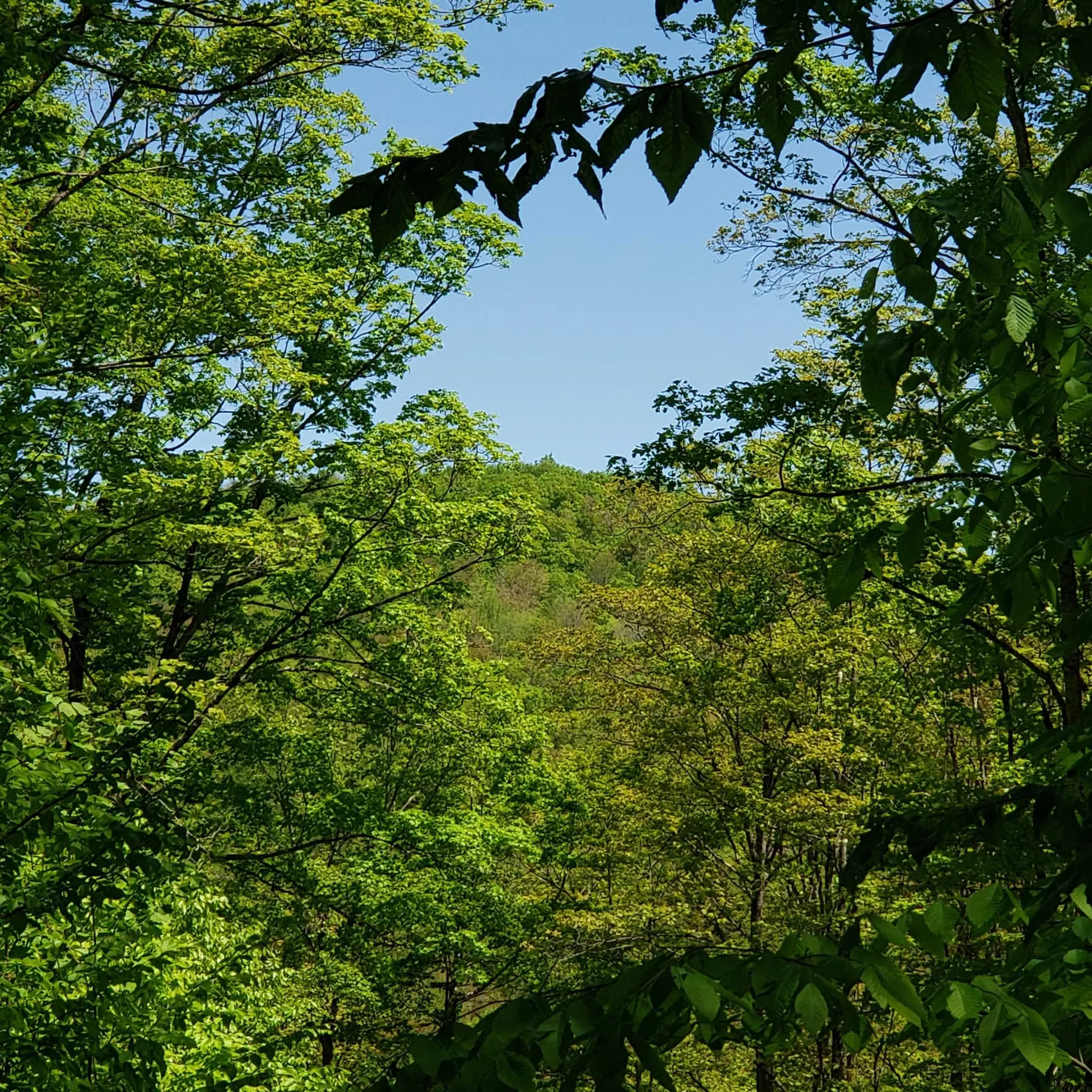 00 Beaver Meadow Road Roxbury VT 05669