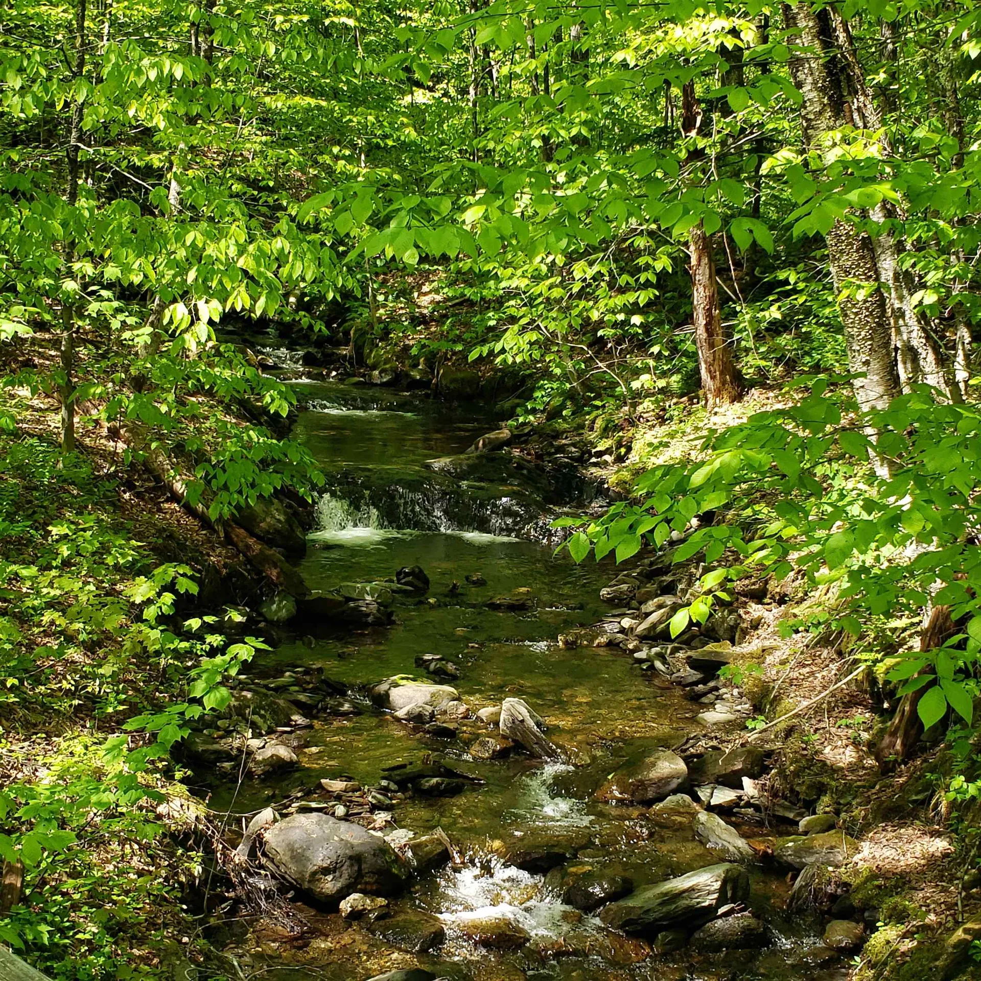 00 Beaver Meadow Road Roxbury VT 05669