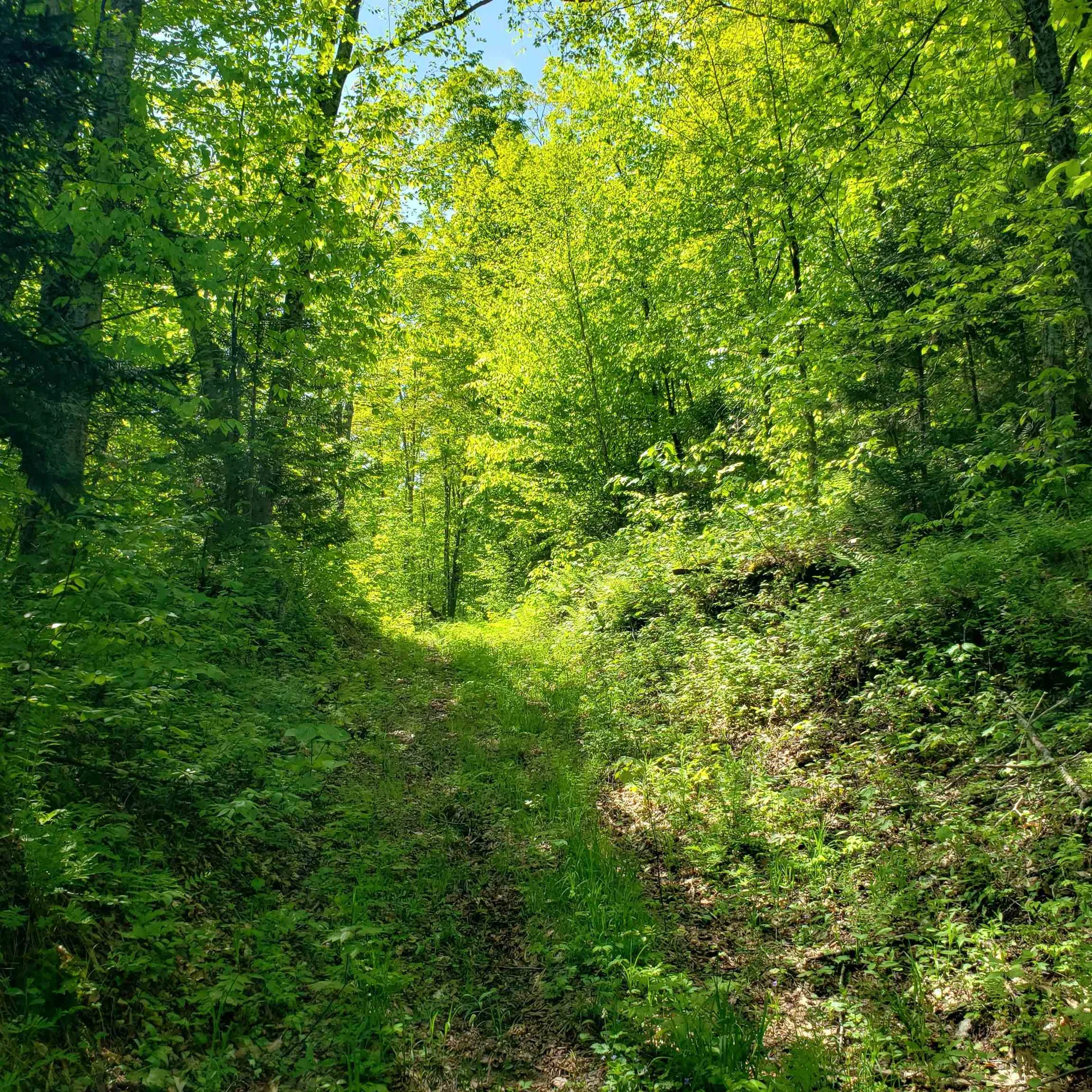 00 Beaver Meadow Road Roxbury VT 05669