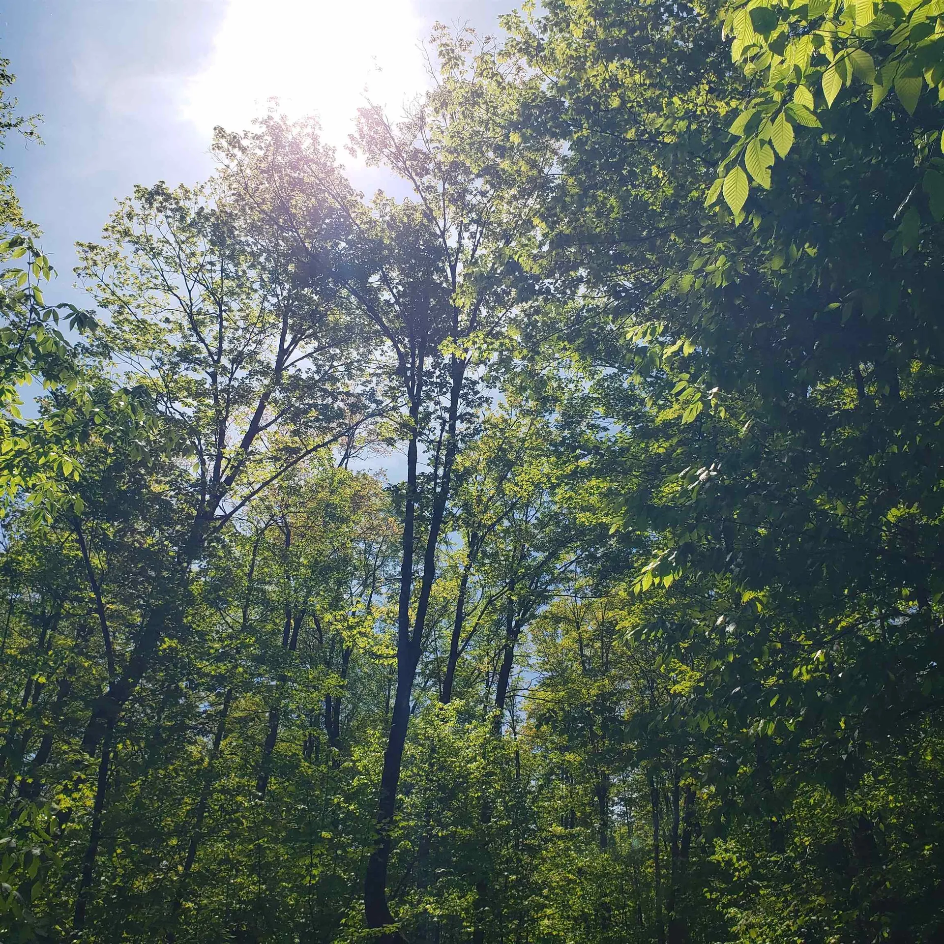 00 Beaver Meadow Road Roxbury VT 05669