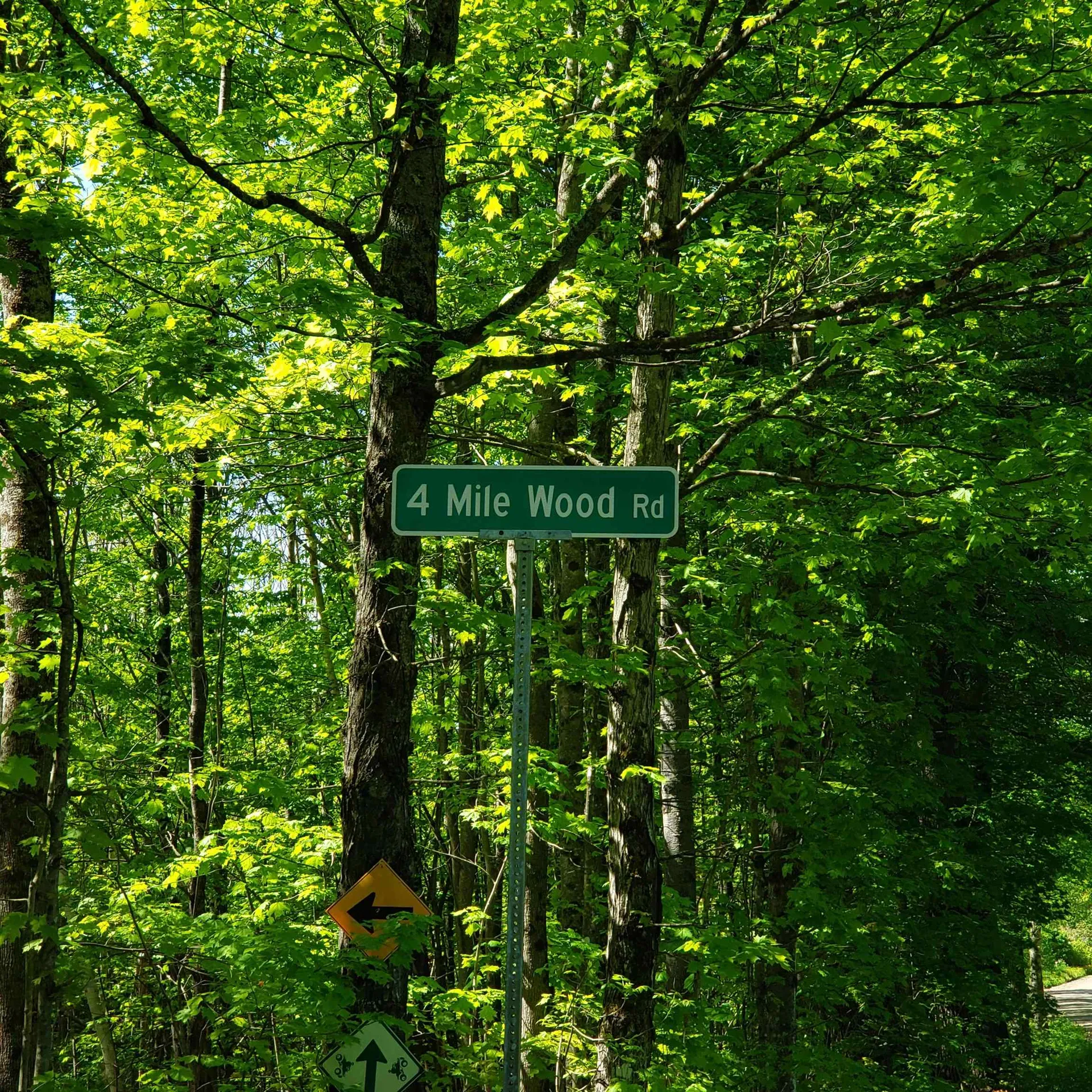 00 Beaver Meadow Road Roxbury VT 05669