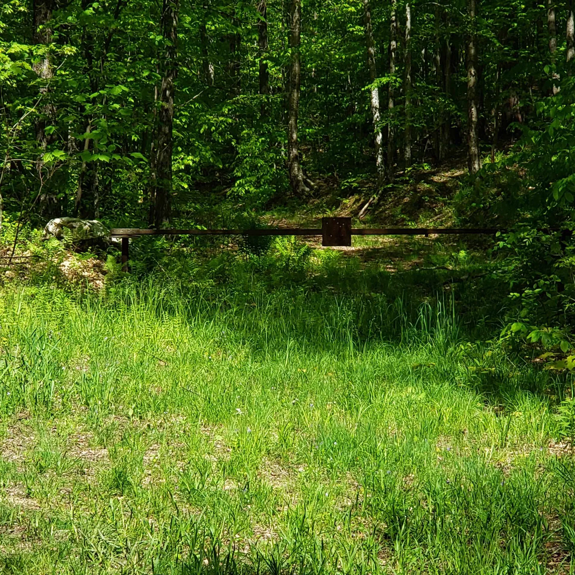 00 Beaver Meadow Road Roxbury VT 05669