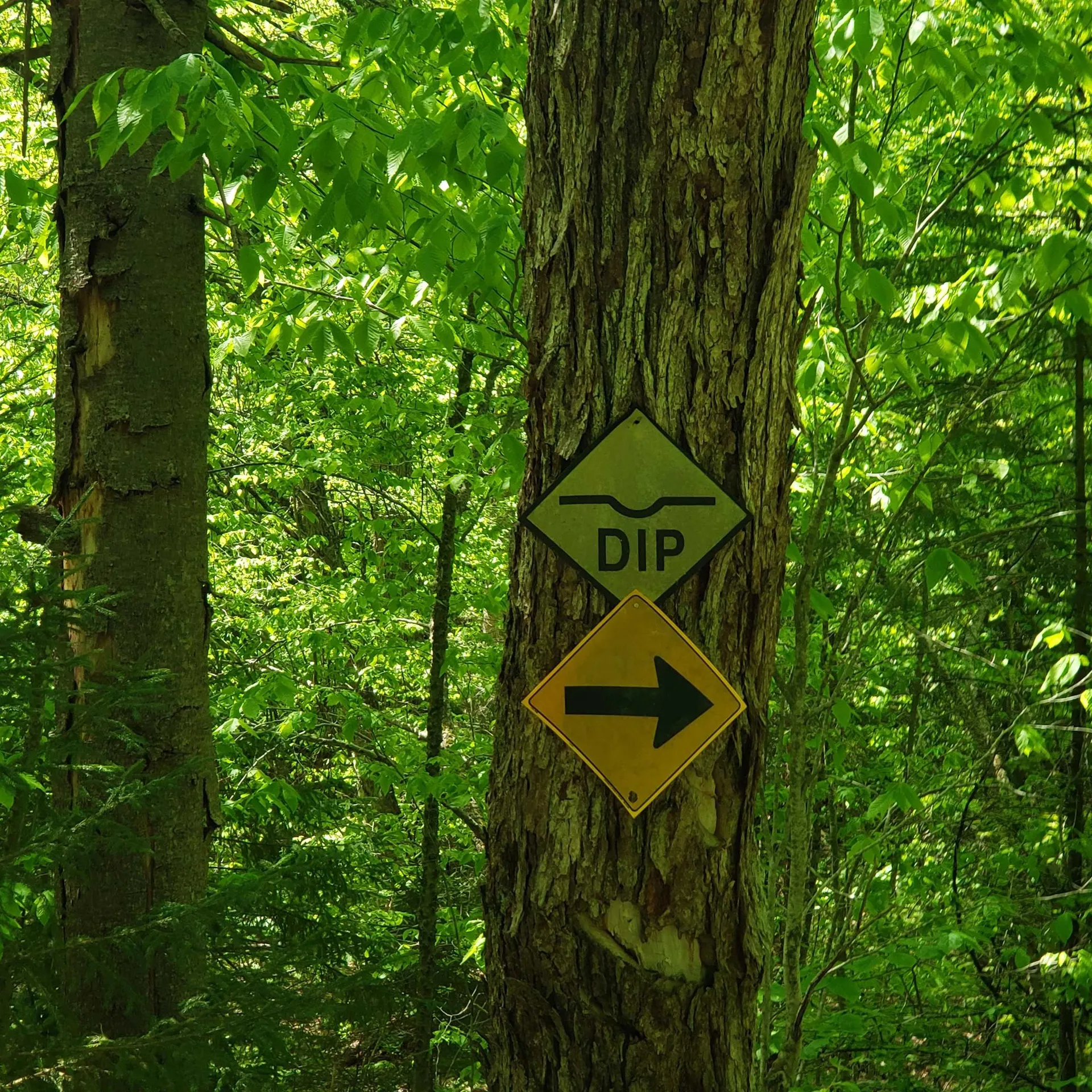 00 Beaver Meadow Road Roxbury VT 05669