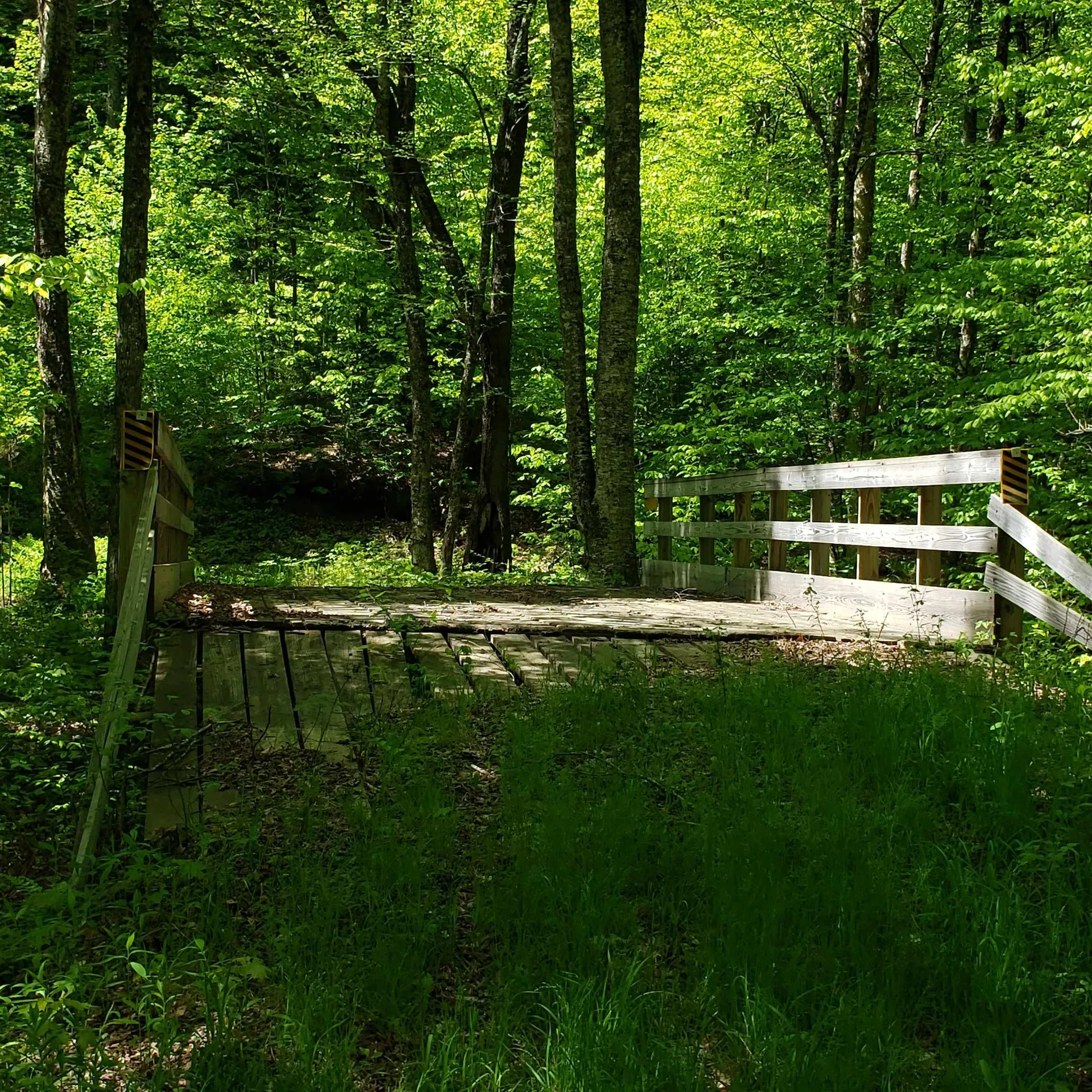 00 Beaver Meadow Road Roxbury VT 05669