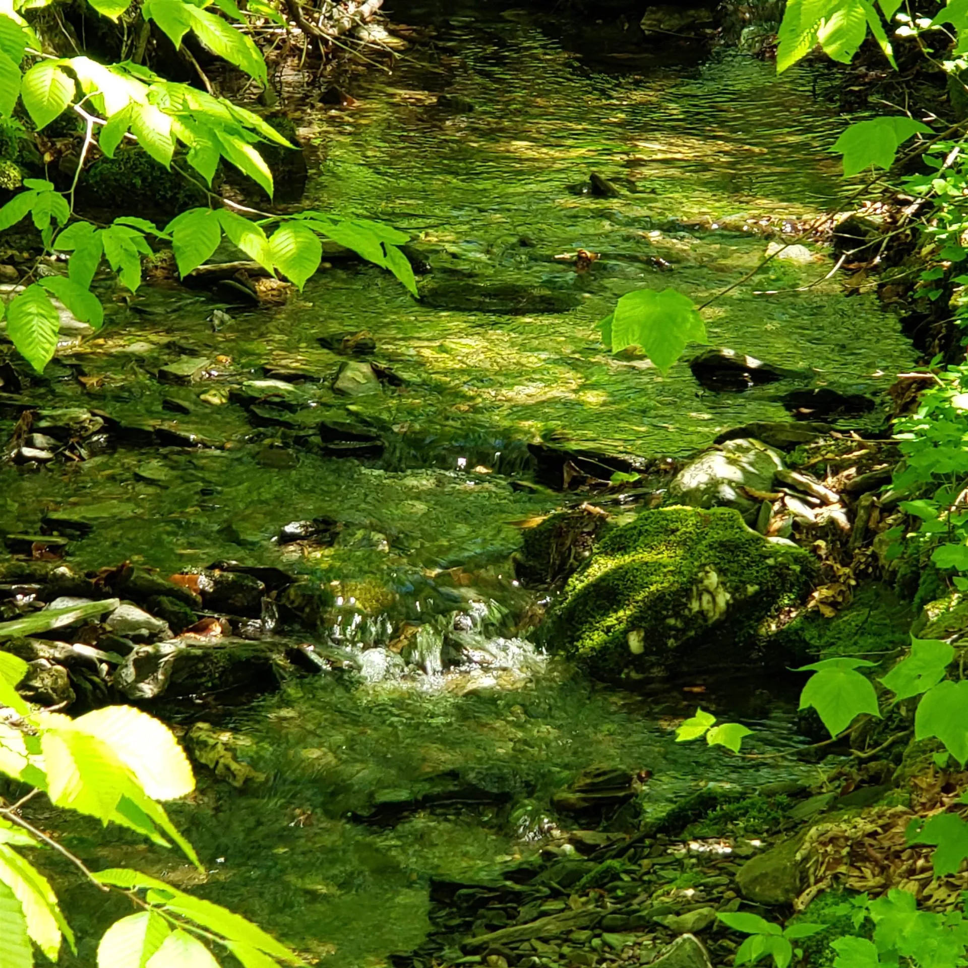 00 Beaver Meadow Road Roxbury VT 05669