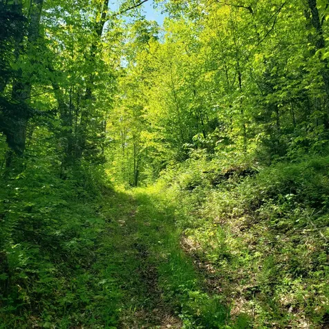 00 Beaver Meadow Road Roxbury VT 05669