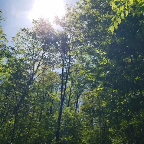 00 Beaver Meadow Road Roxbury VT 05669