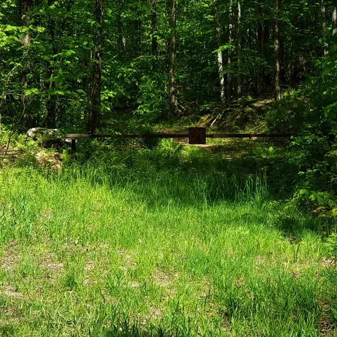 00 Beaver Meadow Road Roxbury VT 05669