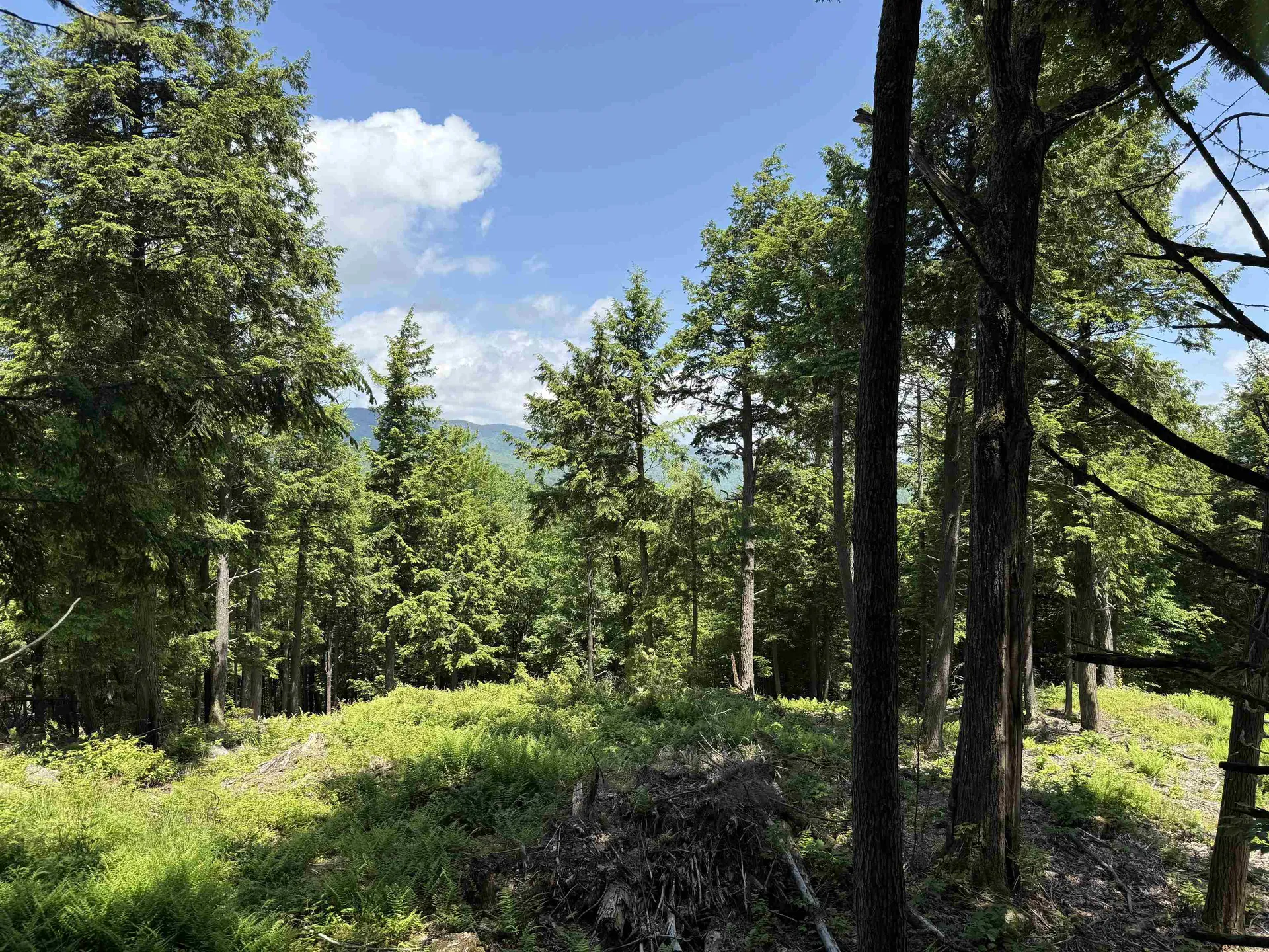 Lot 15 Kelly Way Campton NH 03223