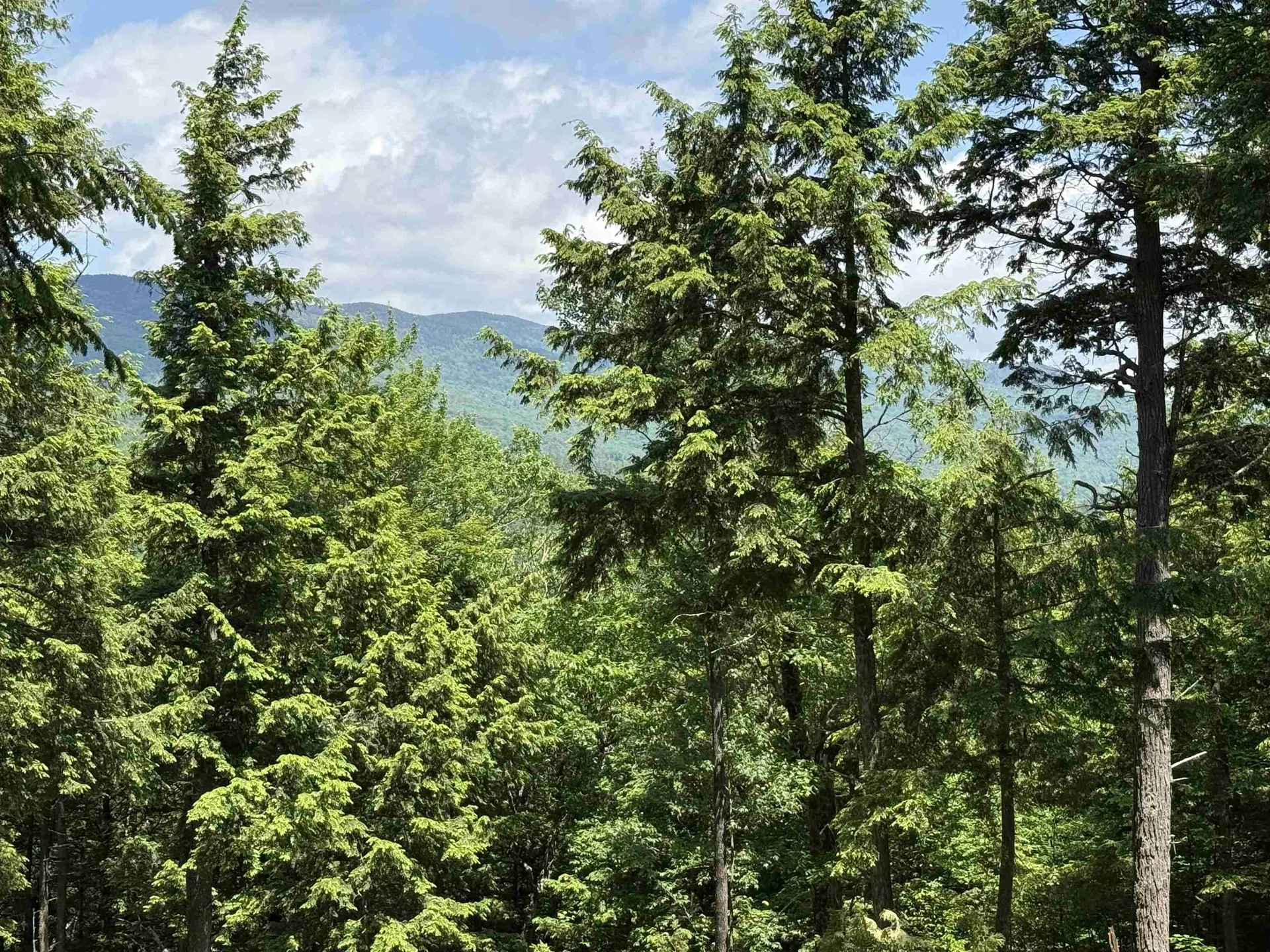 Lot 15 Kelly Way Campton NH 03223