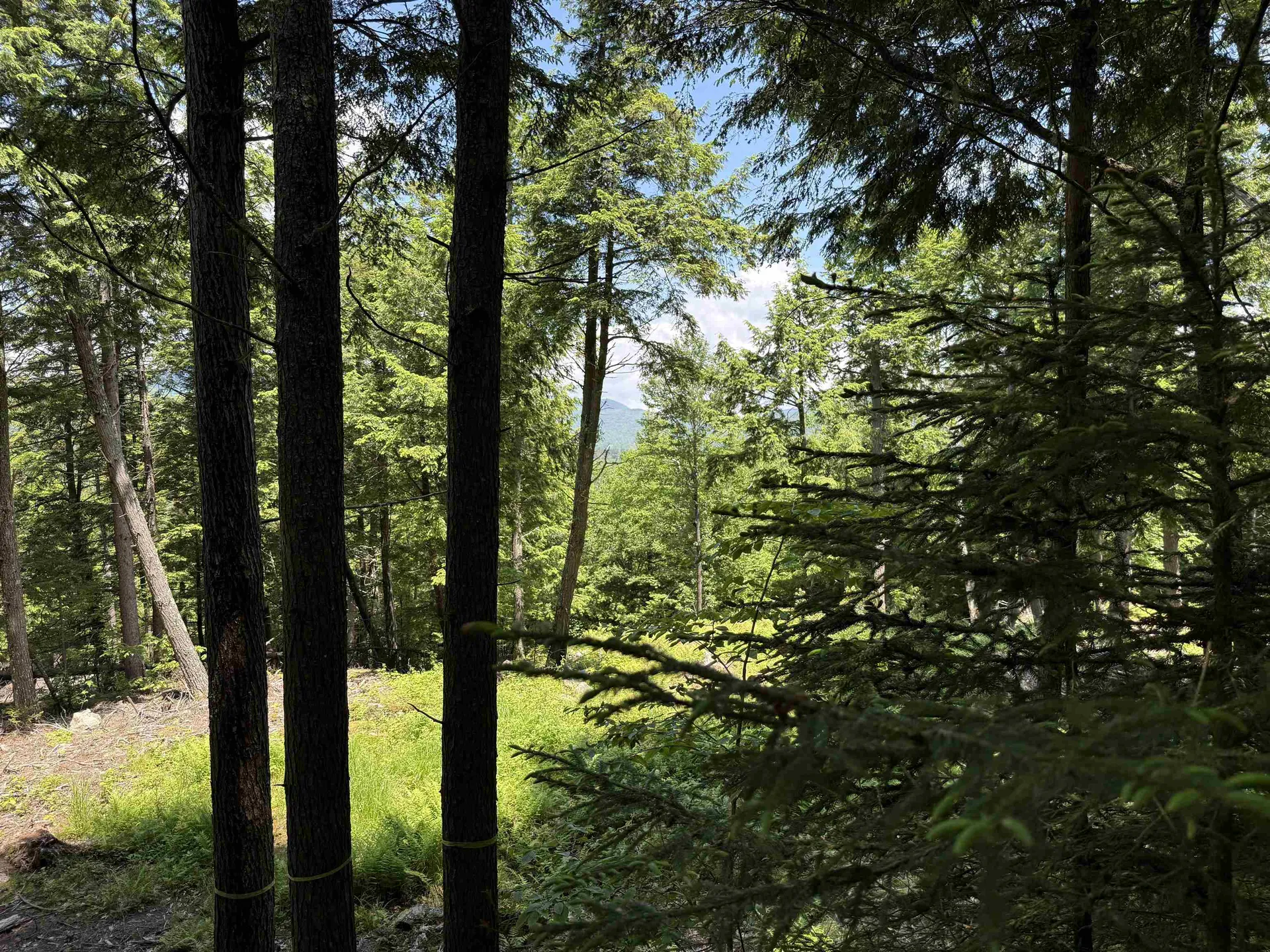 Lot 15 Kelly Way Campton NH 03223