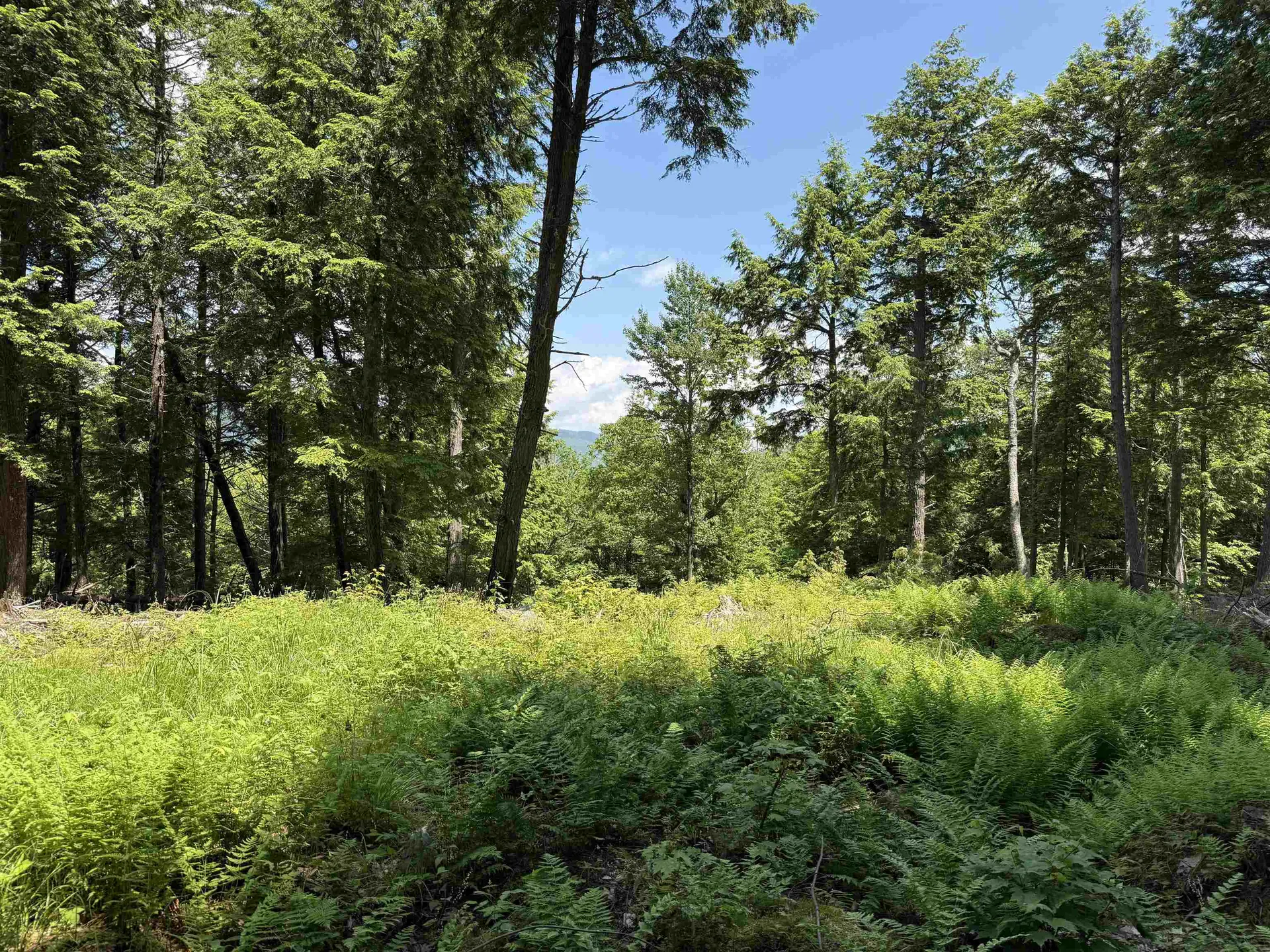 Lot 15 Kelly Way Campton NH 03223