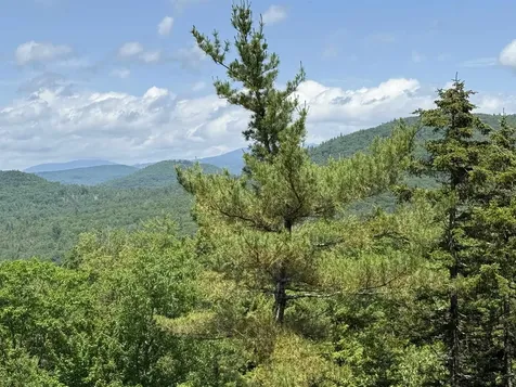 Lot 15 Kelly Way Campton NH 03223