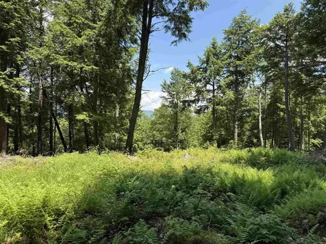 Lot 15 Kelly Way Campton NH 03223