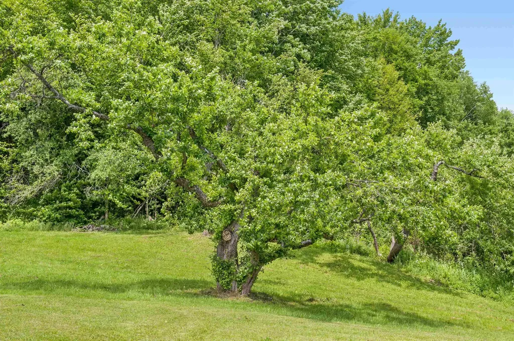 3534 Us Route 2 Marshfield VT 05658