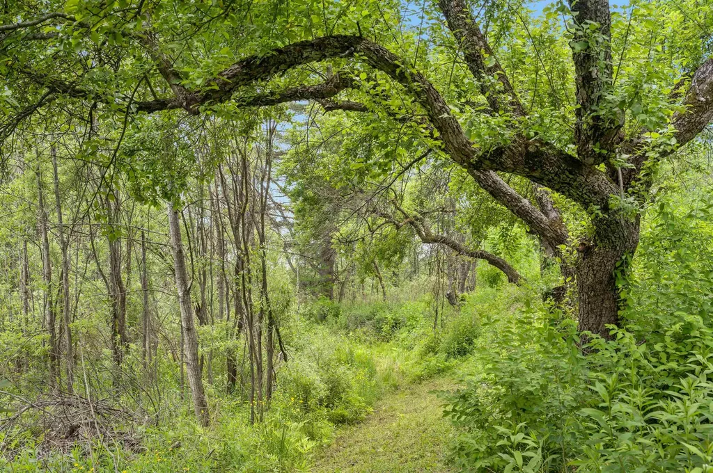 3534 Us Route 2 Marshfield VT 05658