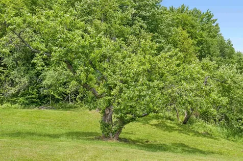 3534 Us Route 2 Marshfield VT 05658