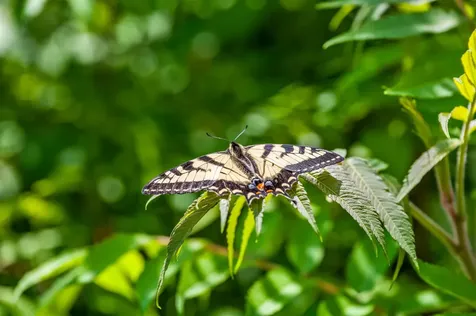 3534 Us Route 2 Marshfield VT 05658